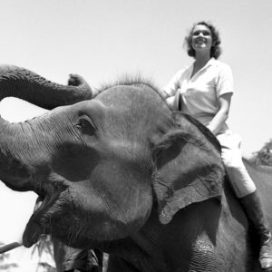 Aloha Wanderwell on Elephant